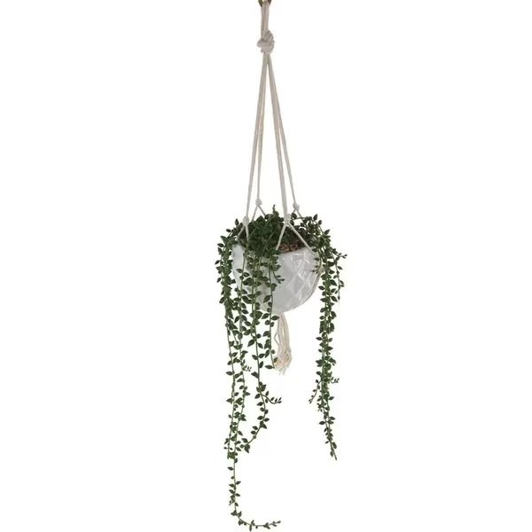 4 x 4 x 12 in. String of Pearls Macrame Hanging Ceramic Donkey Tails Faux Succulent Planter, Conservatorio, Mfr#: CO2578376